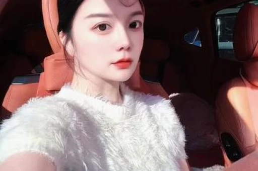 鹏证半导体芯片ETF联接C